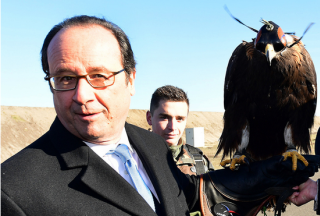 【外媒】法国总统试训老鹰 专门对付无人机