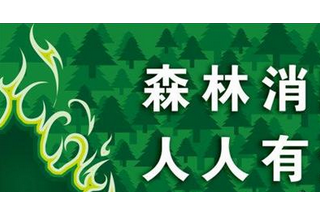 【聚焦】山东省计划五年内投入84亿元 提高森林防火能力