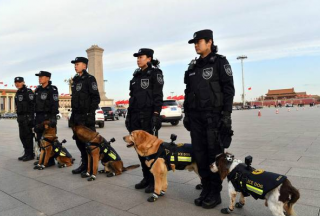 【多图】一群特殊的“小特警”佩戴全景VR执法记录仪亮相北京街头