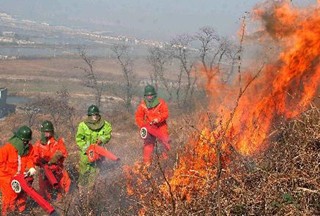 【大数据】森林火灾频发  森林消防装备招标统计