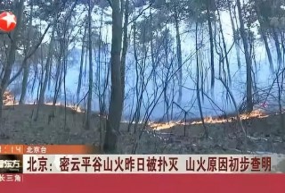 科技助力防范森林火灾，这3种监测技术你知道吗？