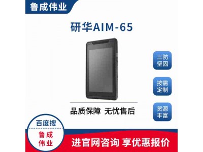 研华三防强固式平板电脑AIM-65