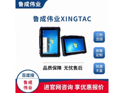 加固10.1寸工业三防pad