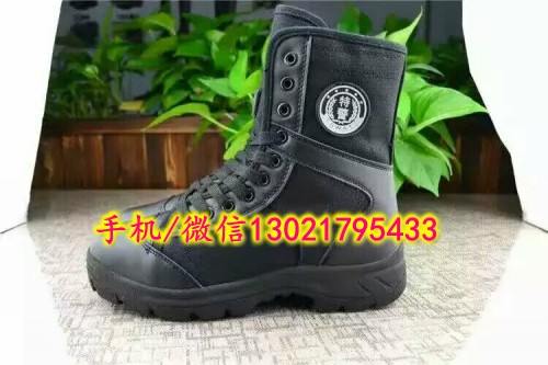 2ef6b79fc2da5427_conew2