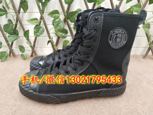 mmexport1552288439576_conew1
