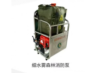 细水雾森林消防泵