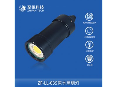 水下专用照明灯 深水补光灯防水深度200m高亮度工业级LED白光