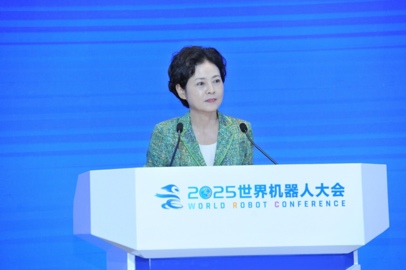 图片8